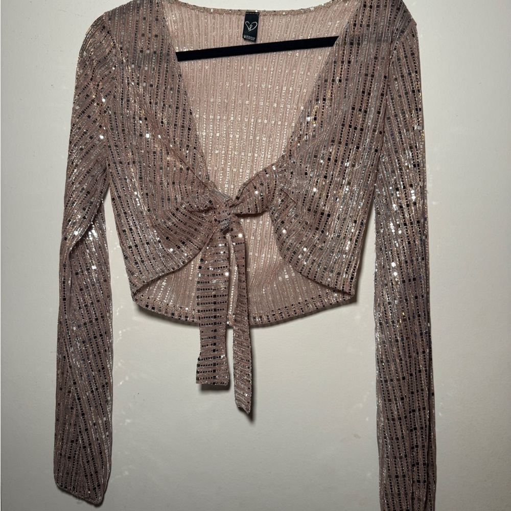 Windsor Sparkling Sequin Blouse in Silver